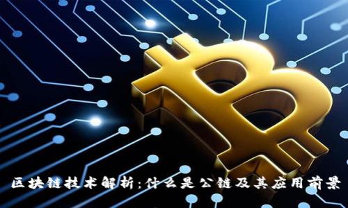 区块链技术解析：什么是公链及其应用前景