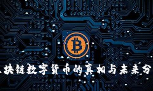 区块链数字货币的真相与未来分析